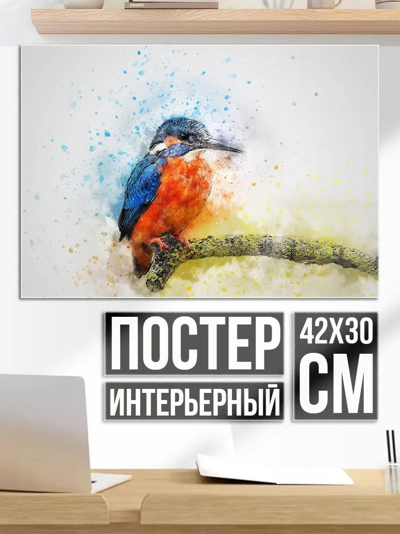 Постер Птица зимородок
