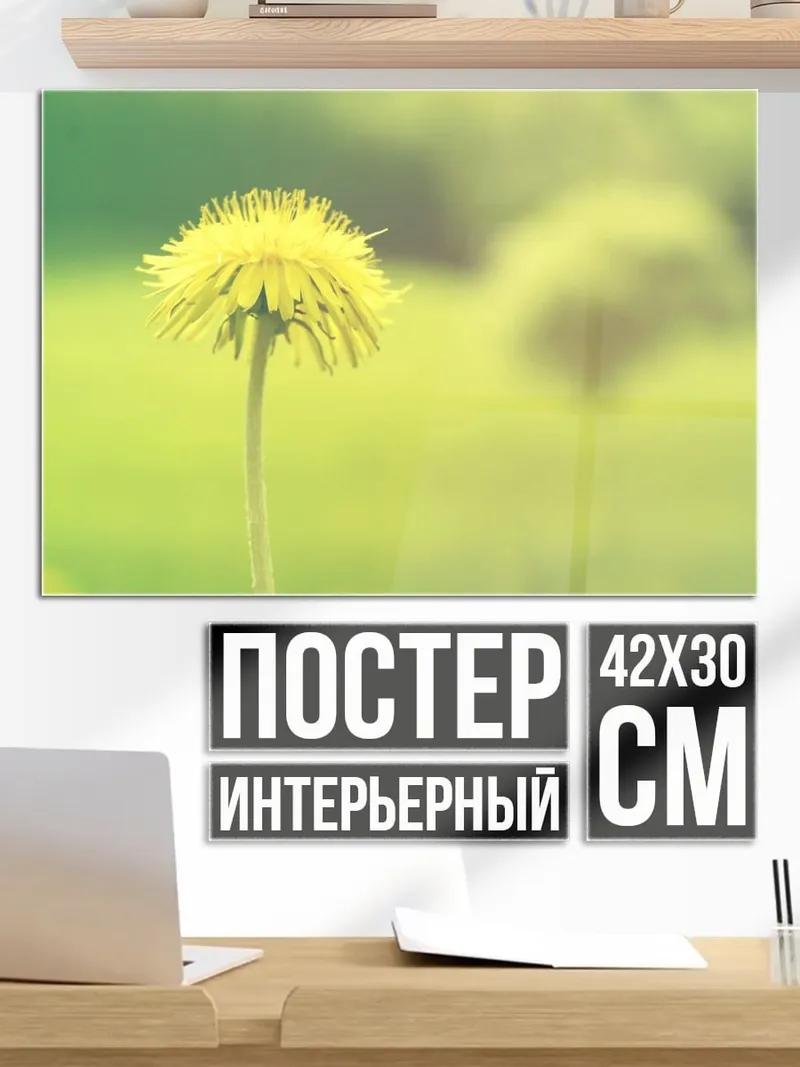 Постер Одинокий одуванчик