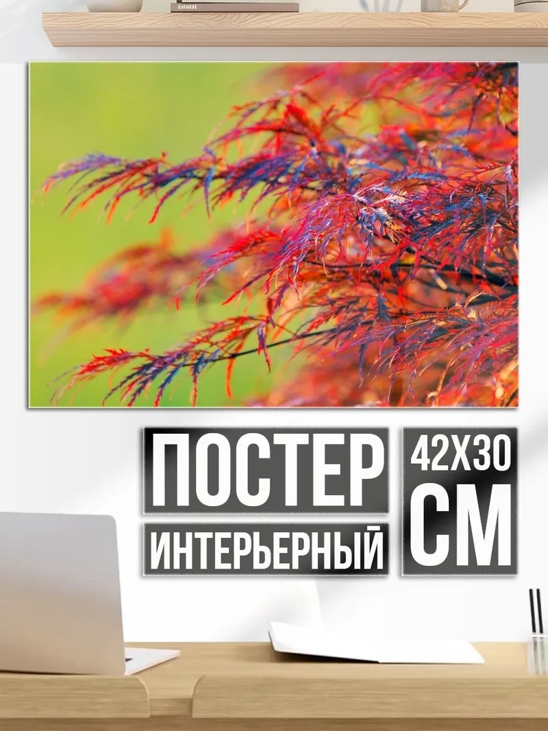 Постер Красные листья