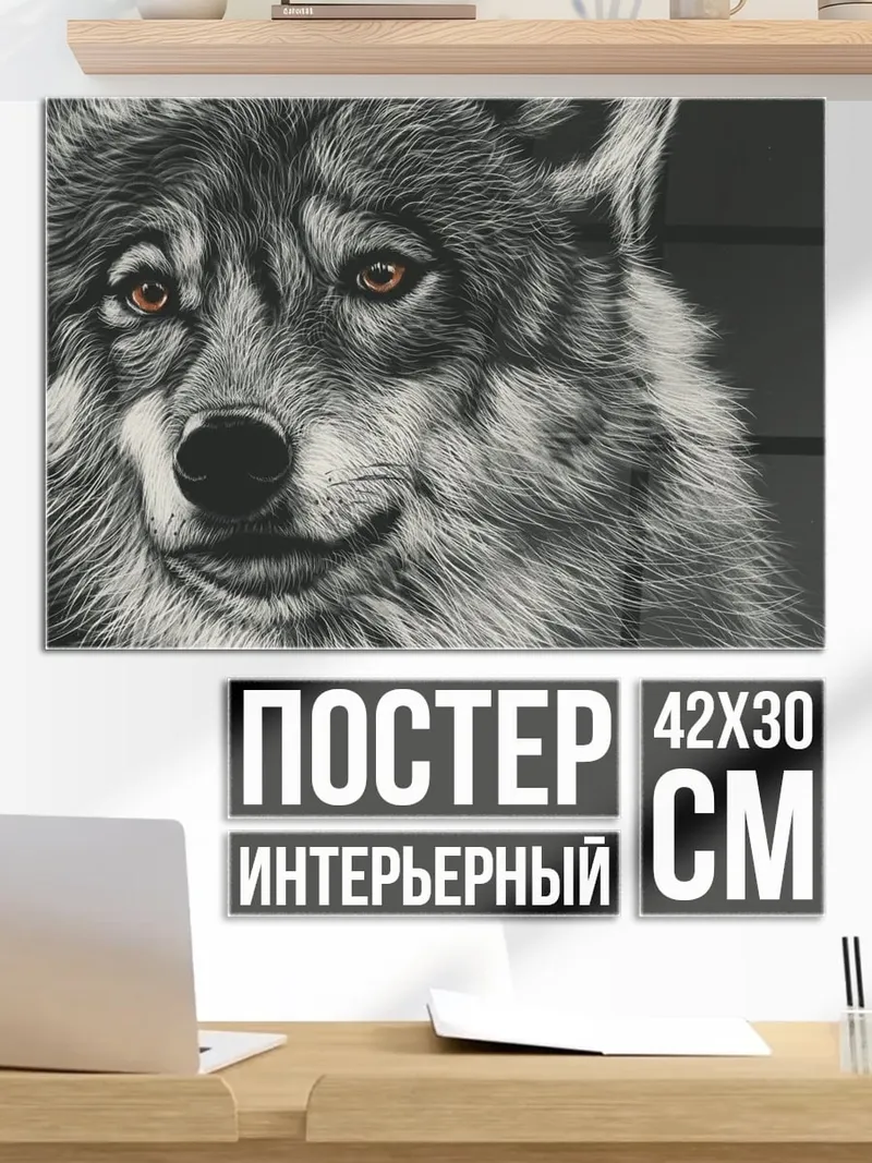 Постер Портрет волка