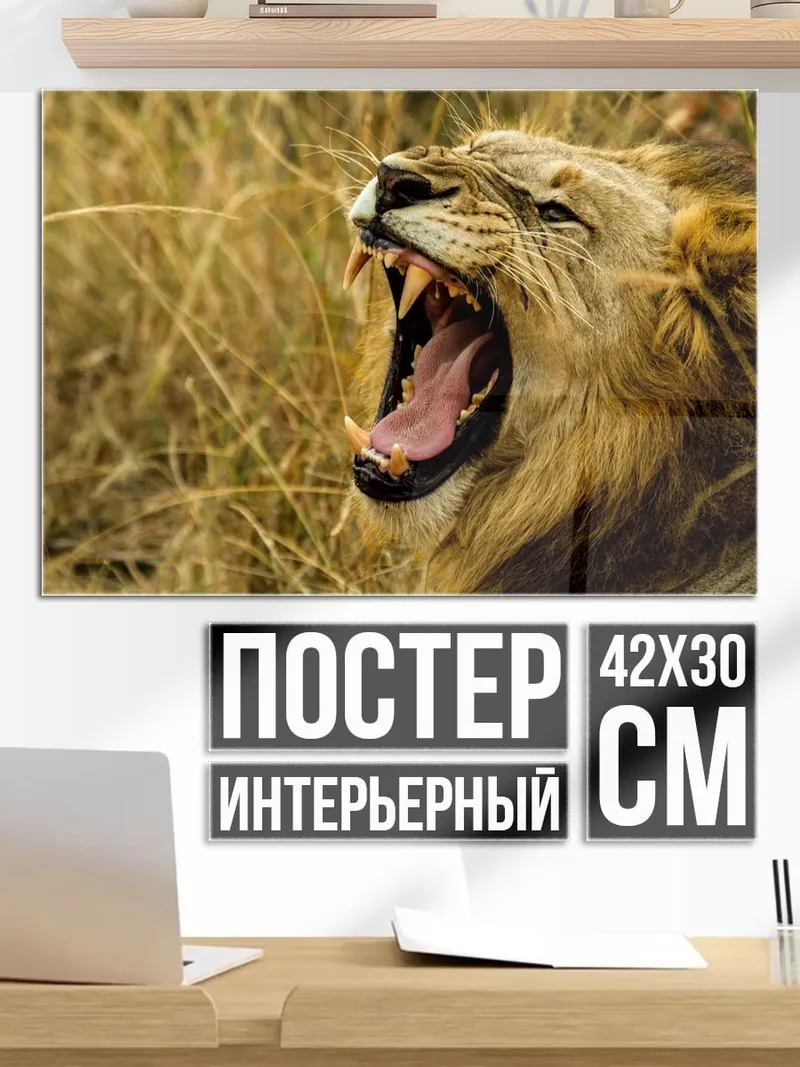 Постер Зевнувший лев