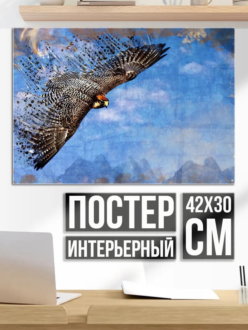 Постер Парящий сокол в небе