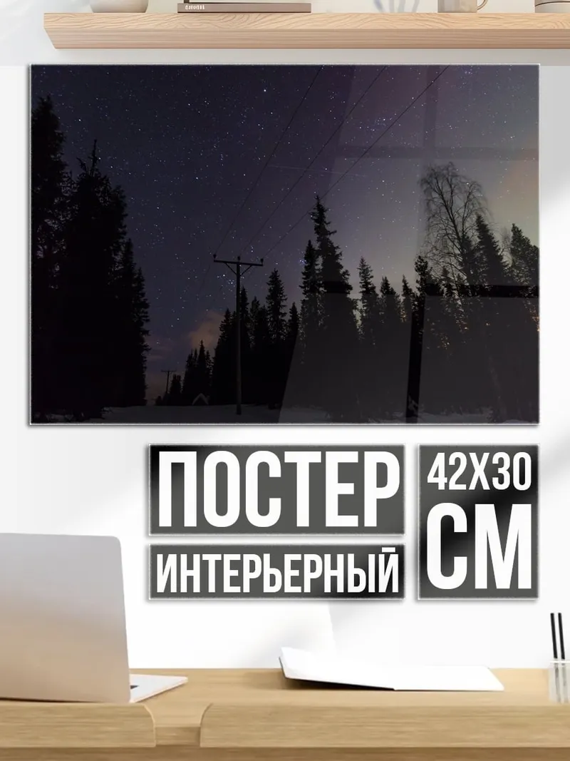 Постер Северное сияние в лесу