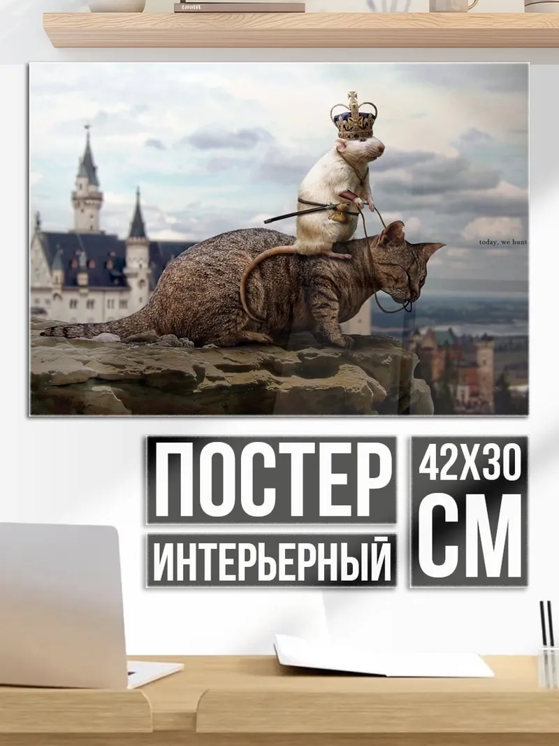 Постер Кот король