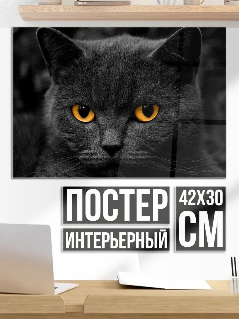 Постер Черный кот