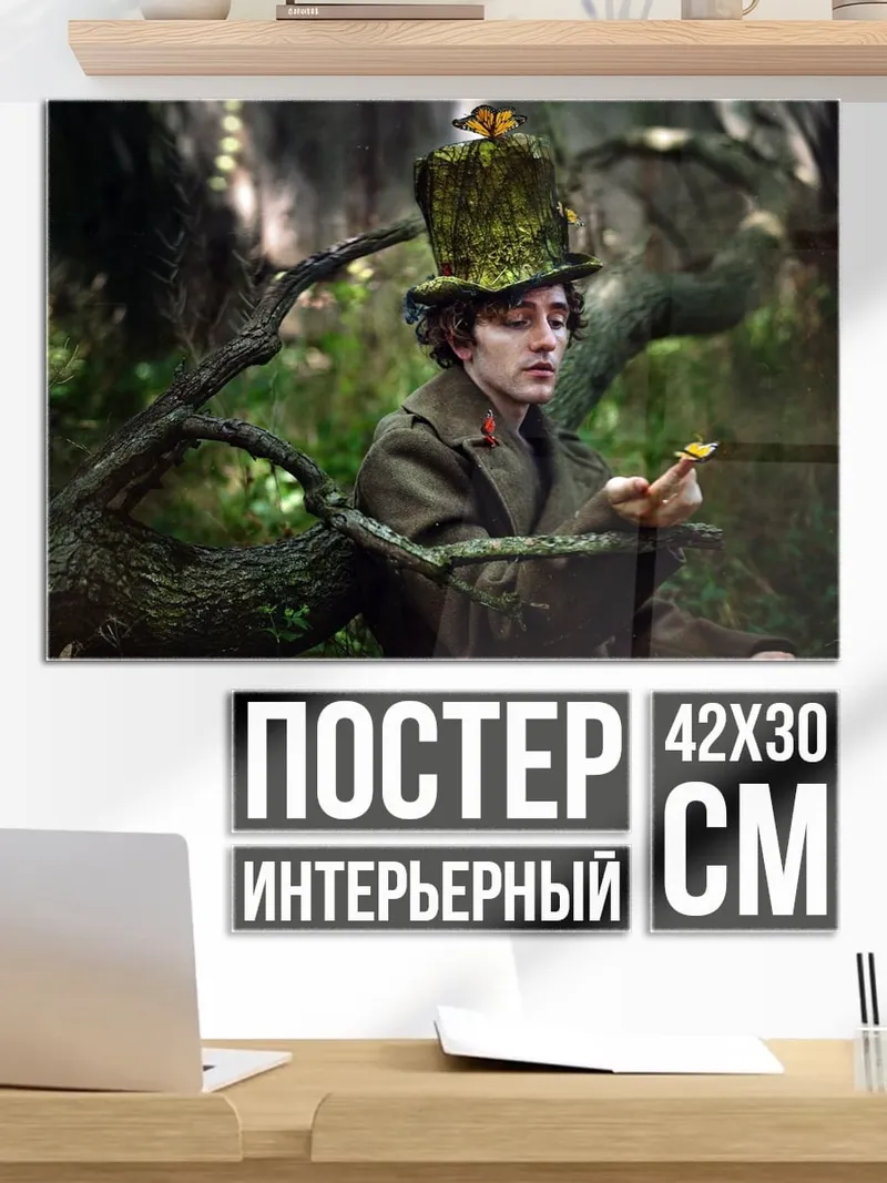 Постер Лесной странник