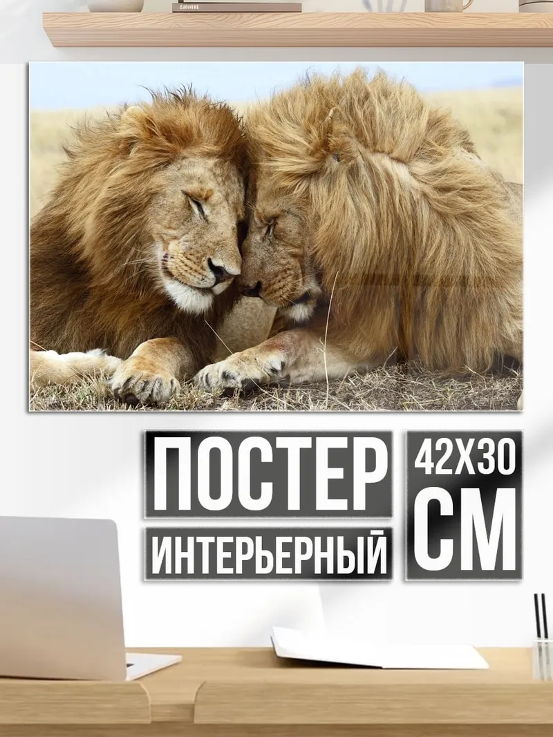 Постер Львиная нежность