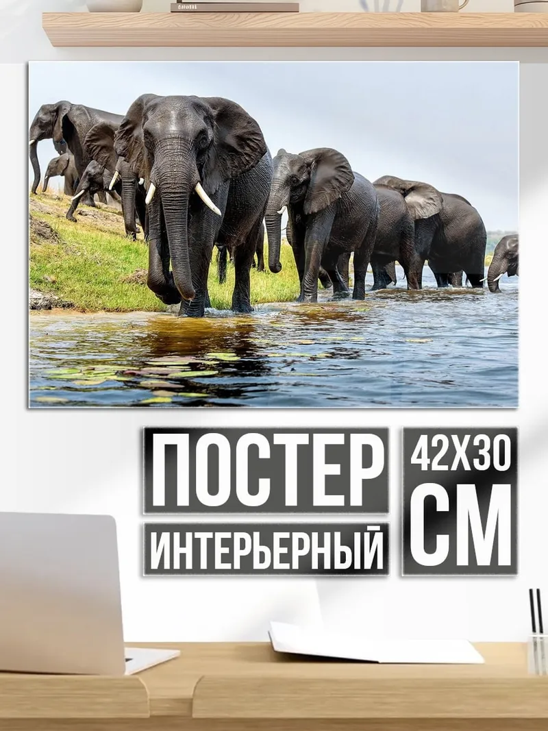 Постер Слоны у воды