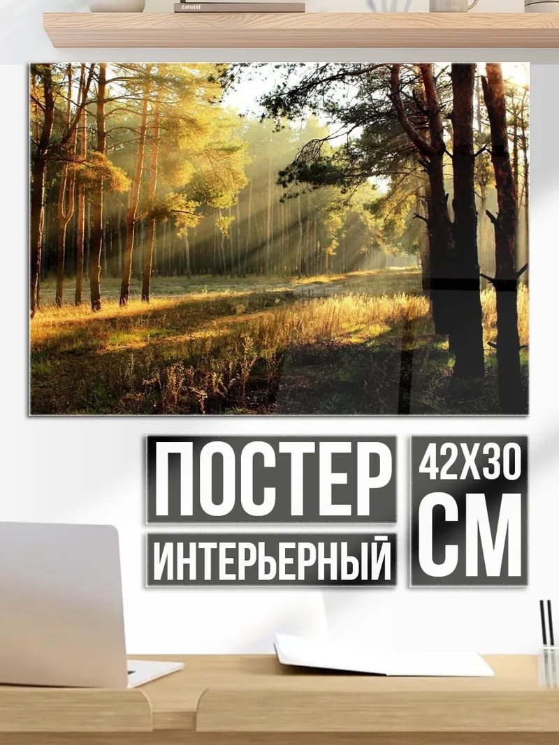 Постер солнечные лучи лес