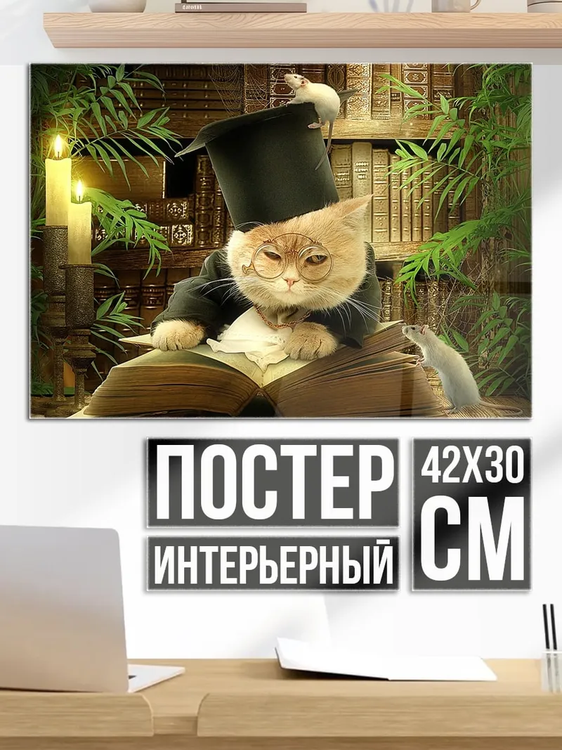 Постер кот профессор