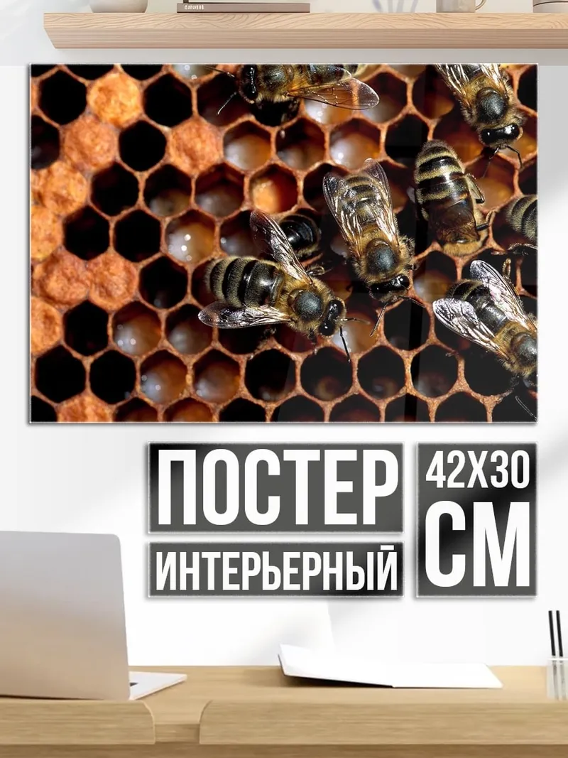 Постер Пчелы на сотах