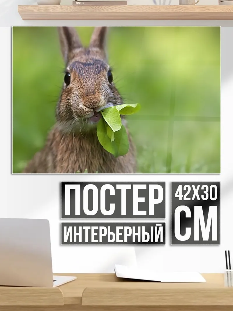 Постер Кролик ест траву