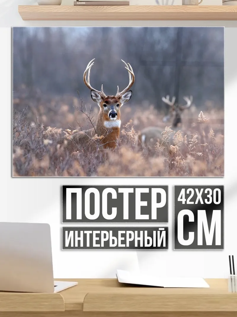 Постер Олень в поле