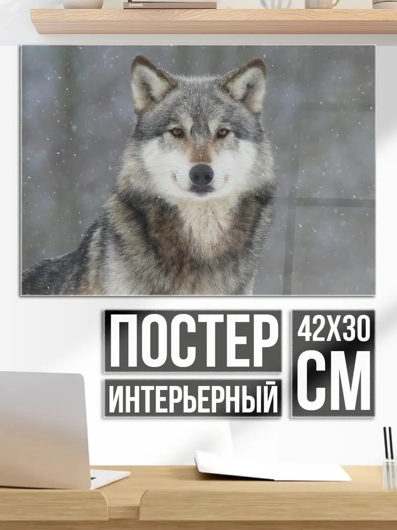 Постер Волк в снегу
