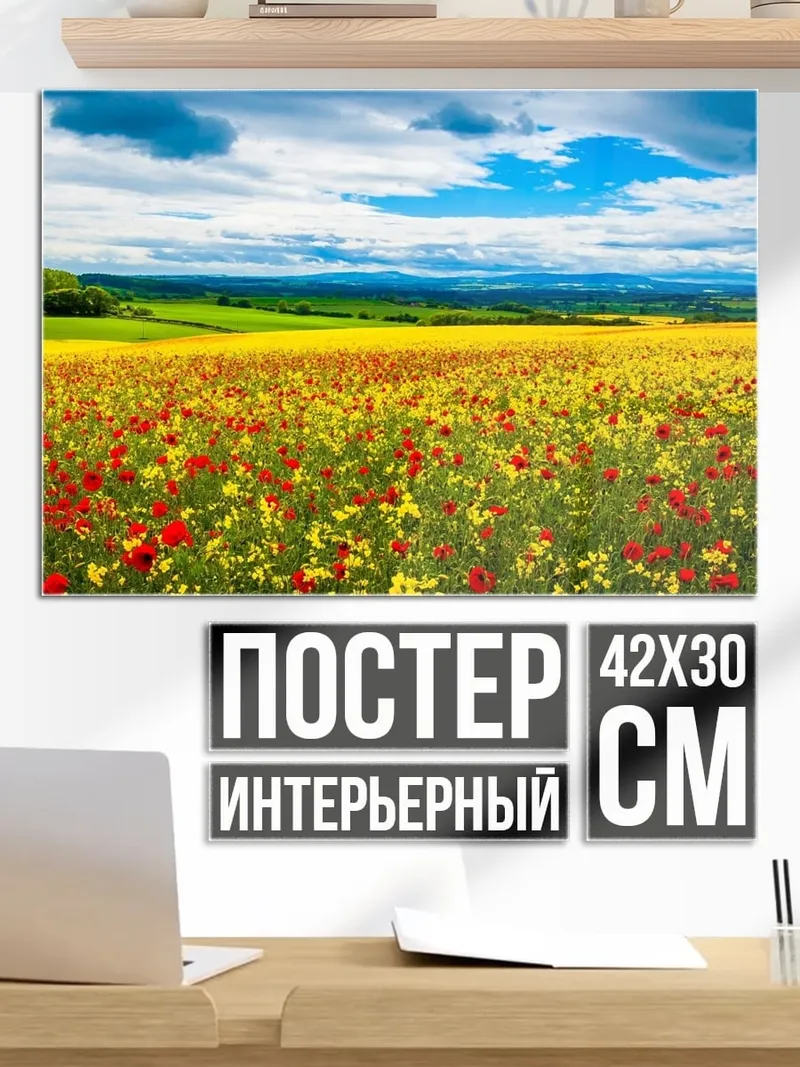 Постер Поле маков