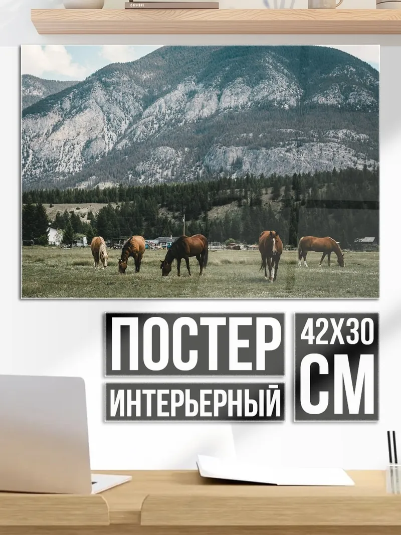 Постер лошади в горах