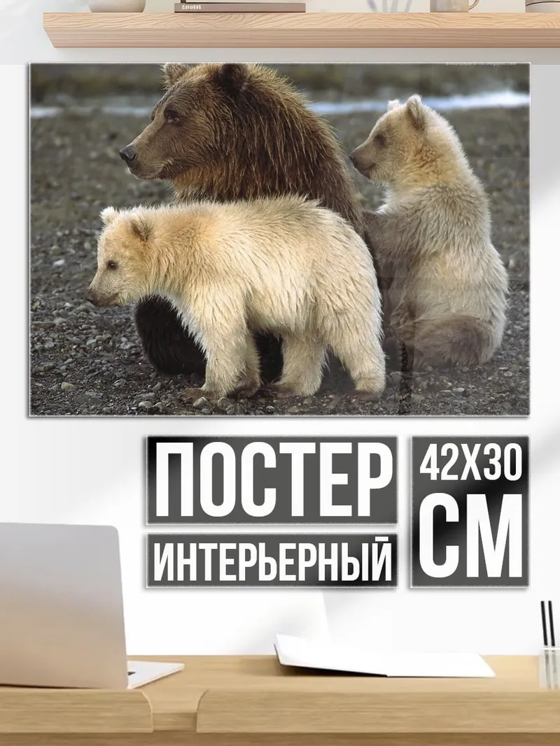 Постер волк в тумане