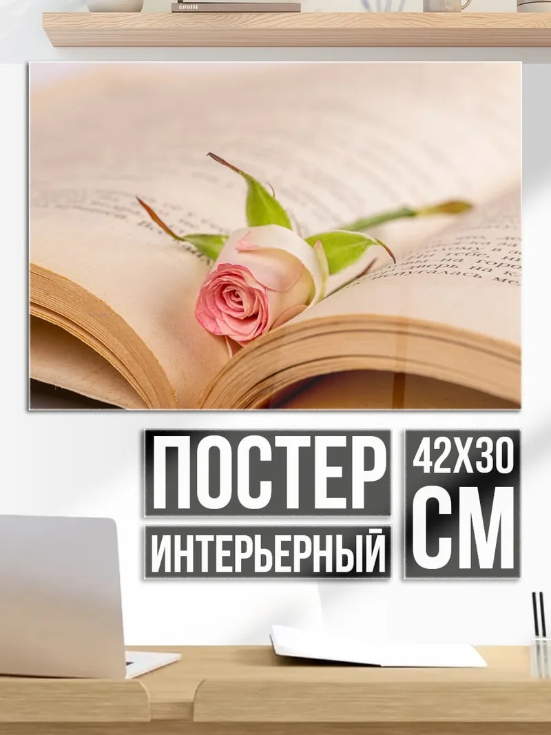 Постер Роза на книге
