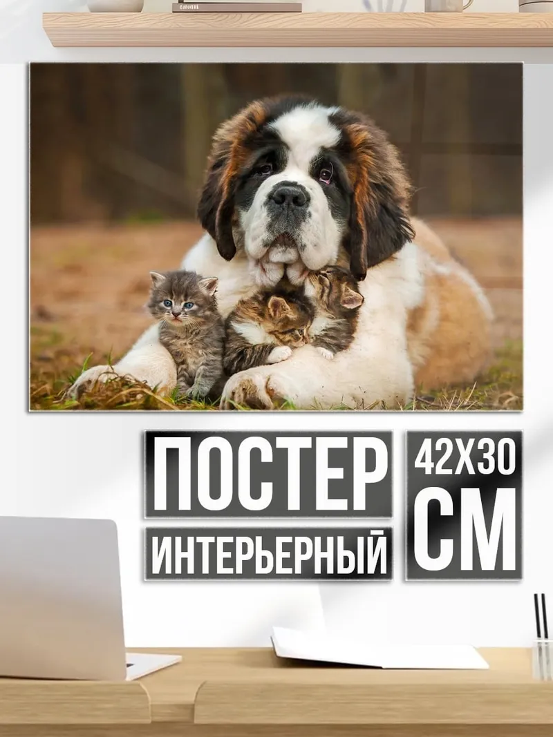 Постер Сенбернар котята
