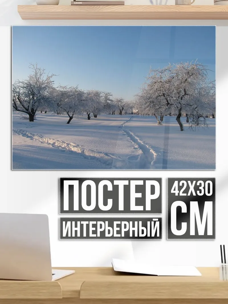 Постер Зимний сад