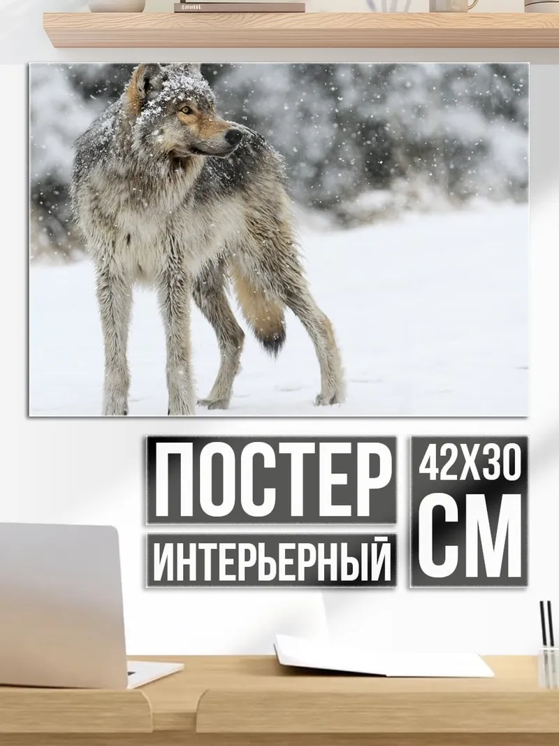 Постер Волк в снегу