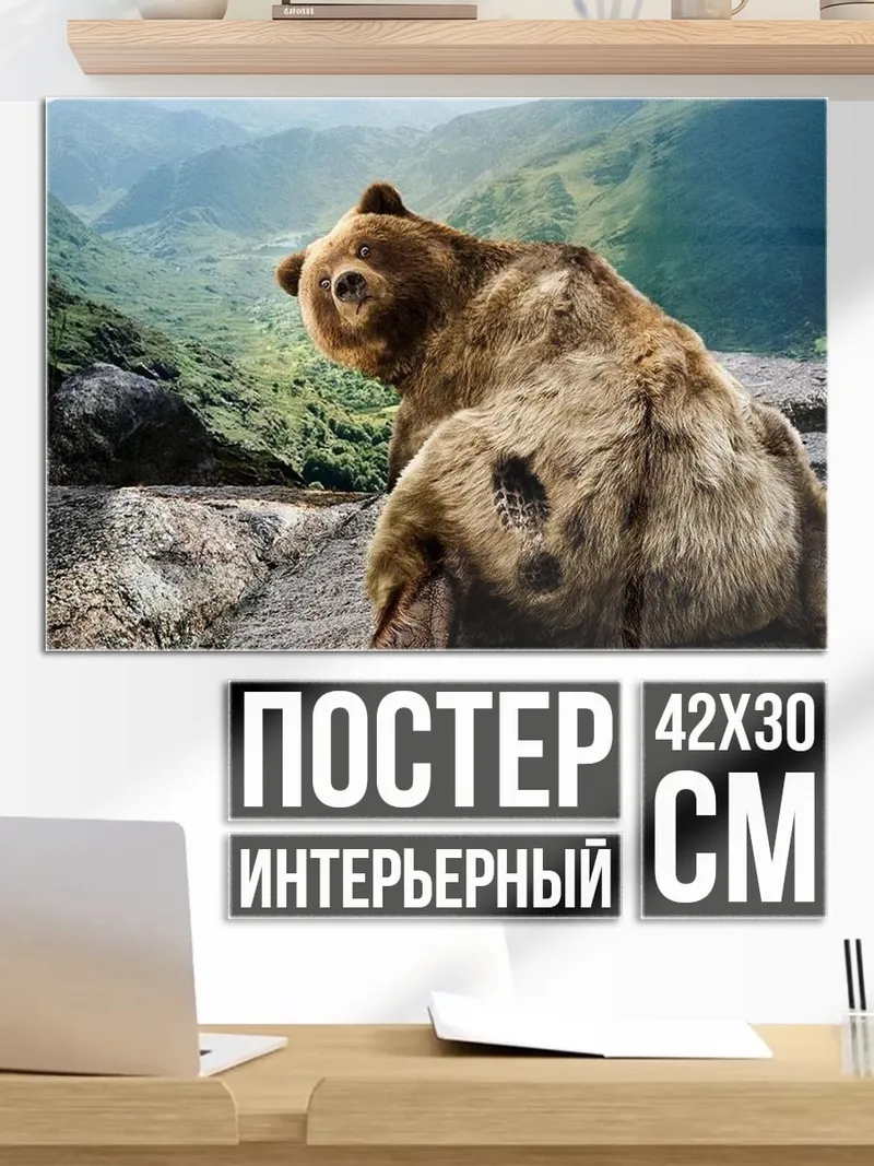 Постер Медведь в горах