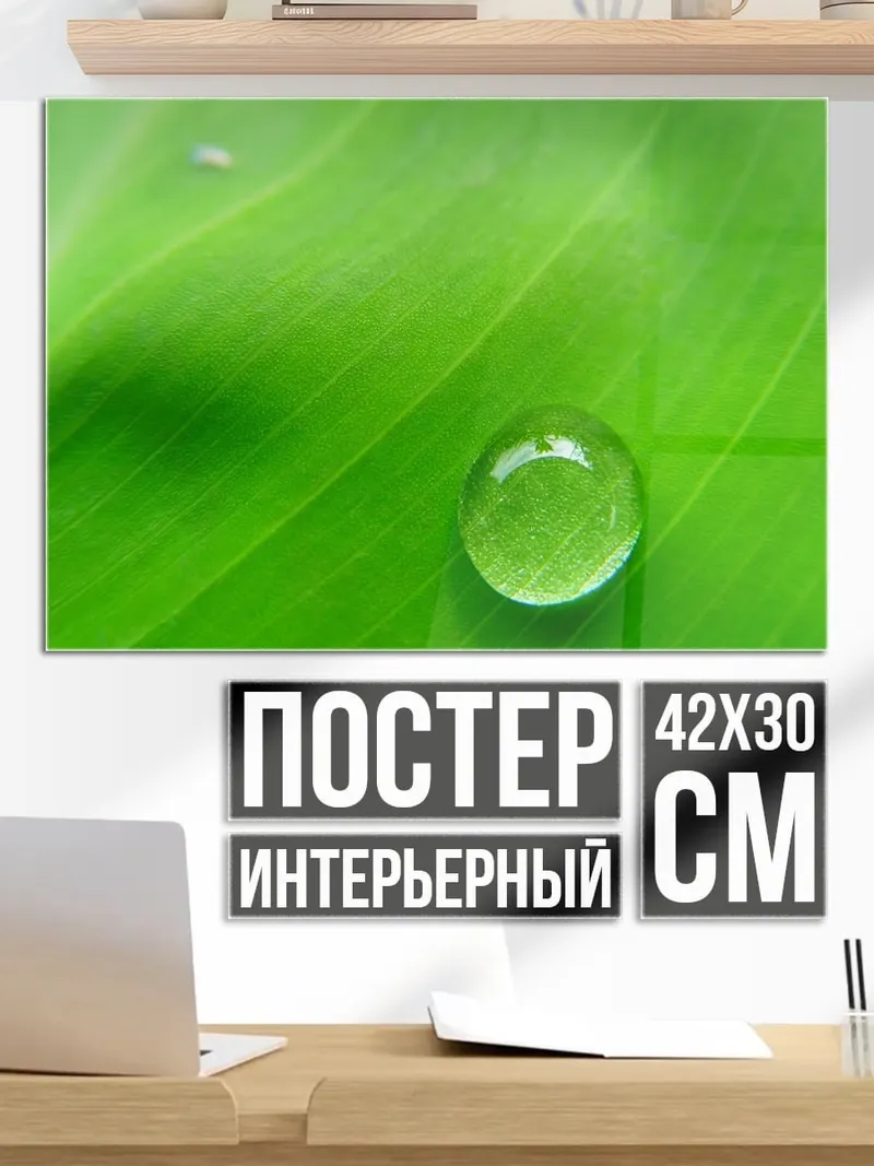 Постер Капля на листе