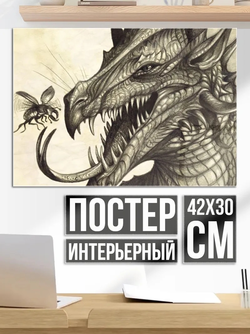 Постер Дракон и муха