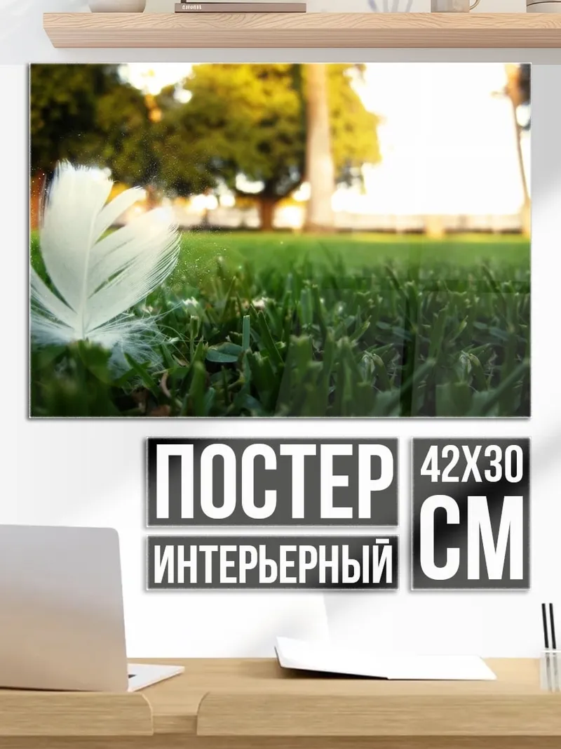 Постер Перо на траве