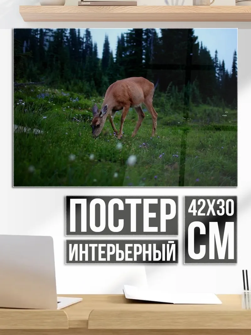Постер Олень в лесу