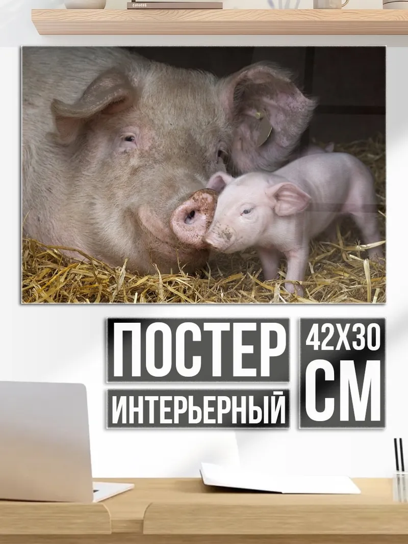 Постер Мама свинья