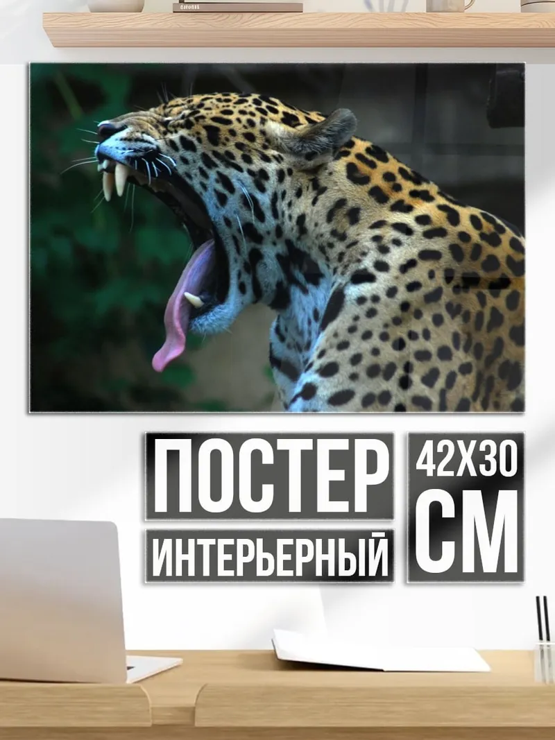 Постер Ягуар Зевает