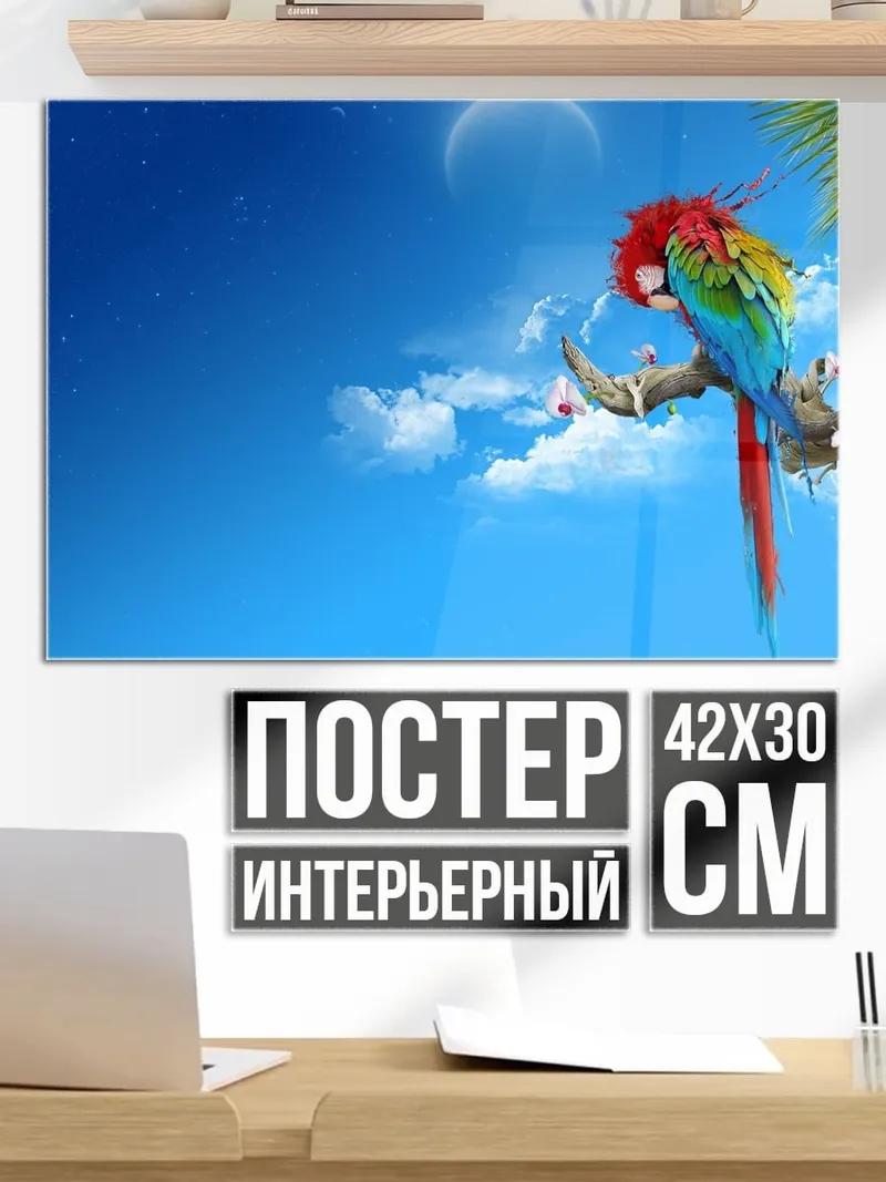 Постер Попугай на ветке