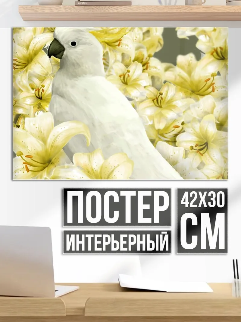 Постер Белый какаду