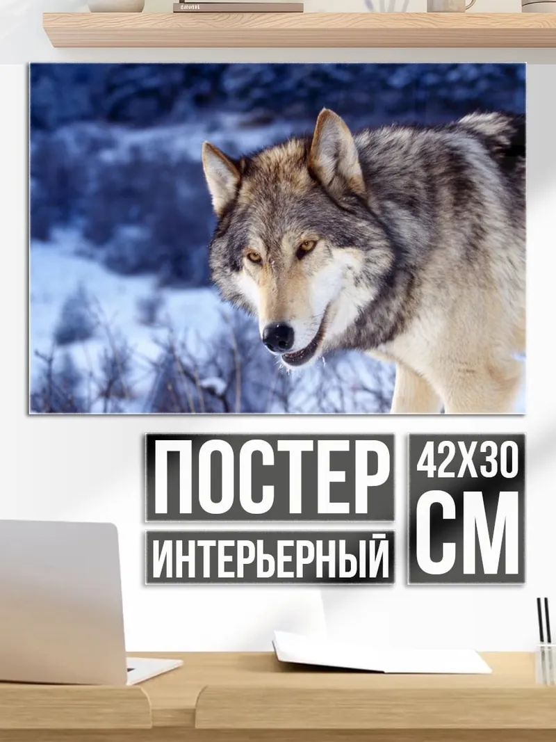 Постер Волк в зимнем лесу