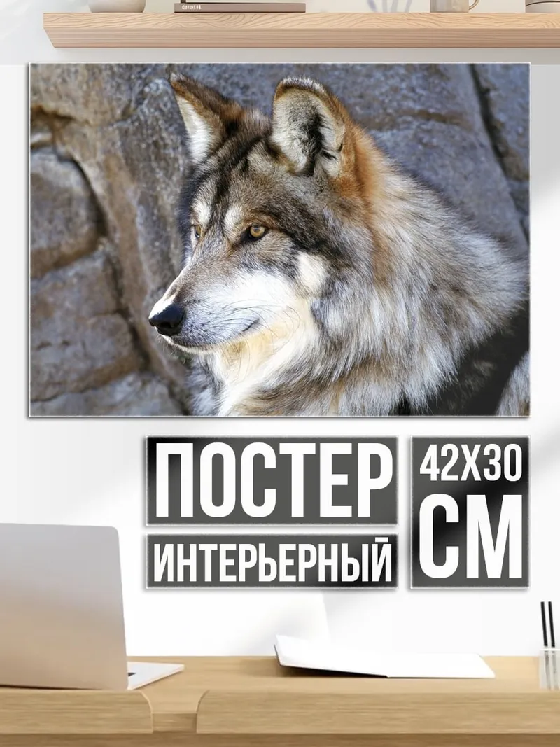 Постер Волк у скалы