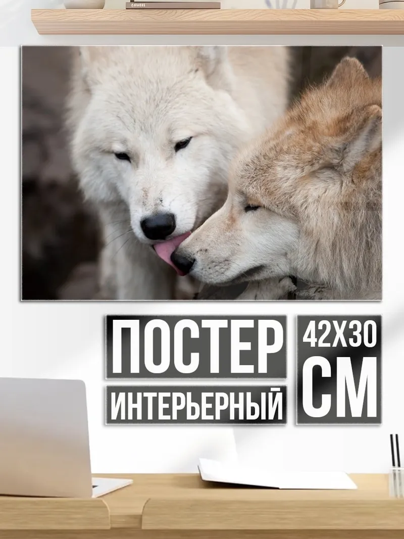Постер Два волка