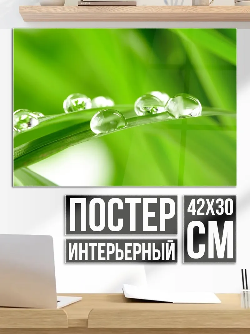 Постер Капли росы на траве