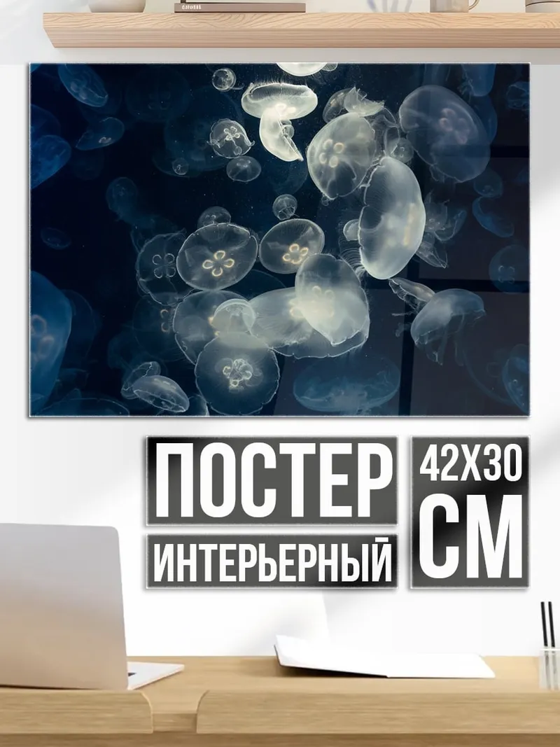 Постер Медузы в темноте