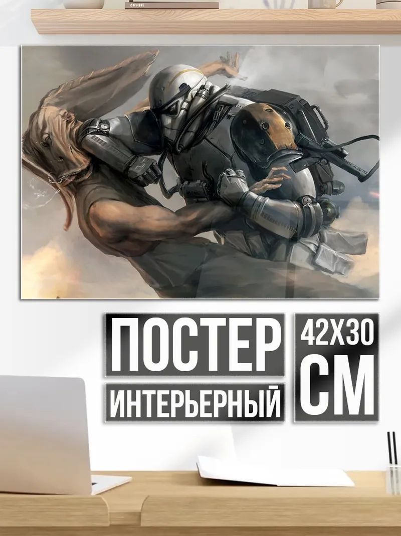Постер Бой со штурмовиком