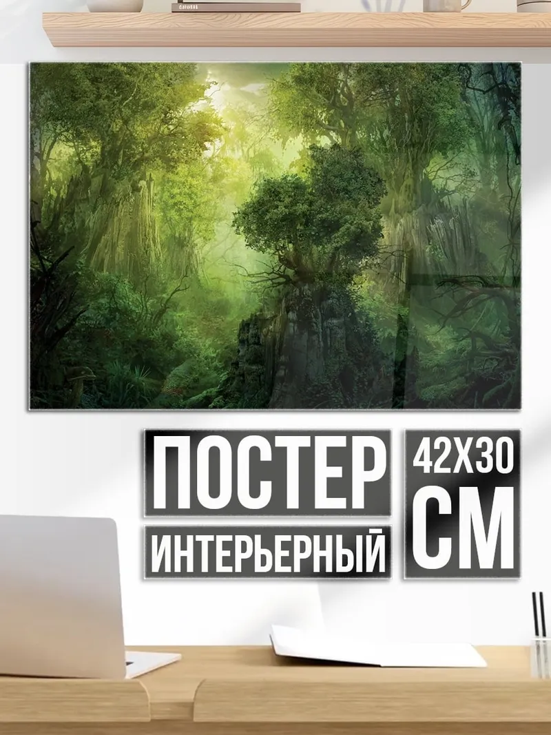 Постер туманный лес утро