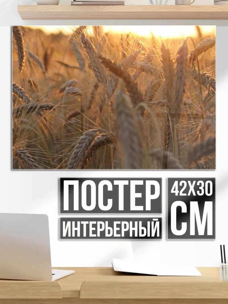 Постер Золотое поле пшеницы