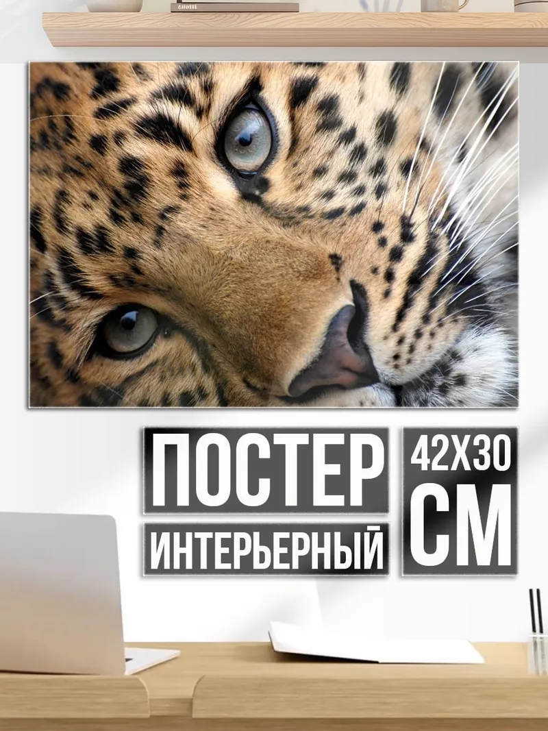 Постер портрет леопарда