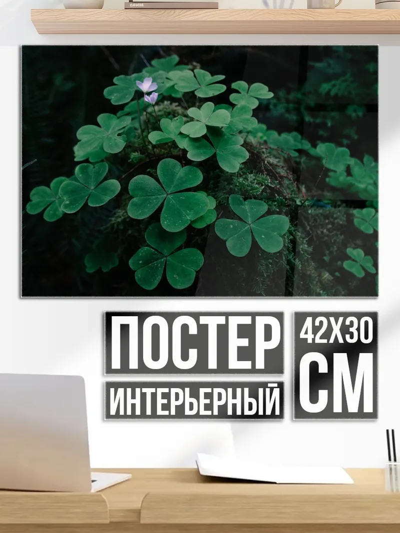 Постер Клевер в лесу