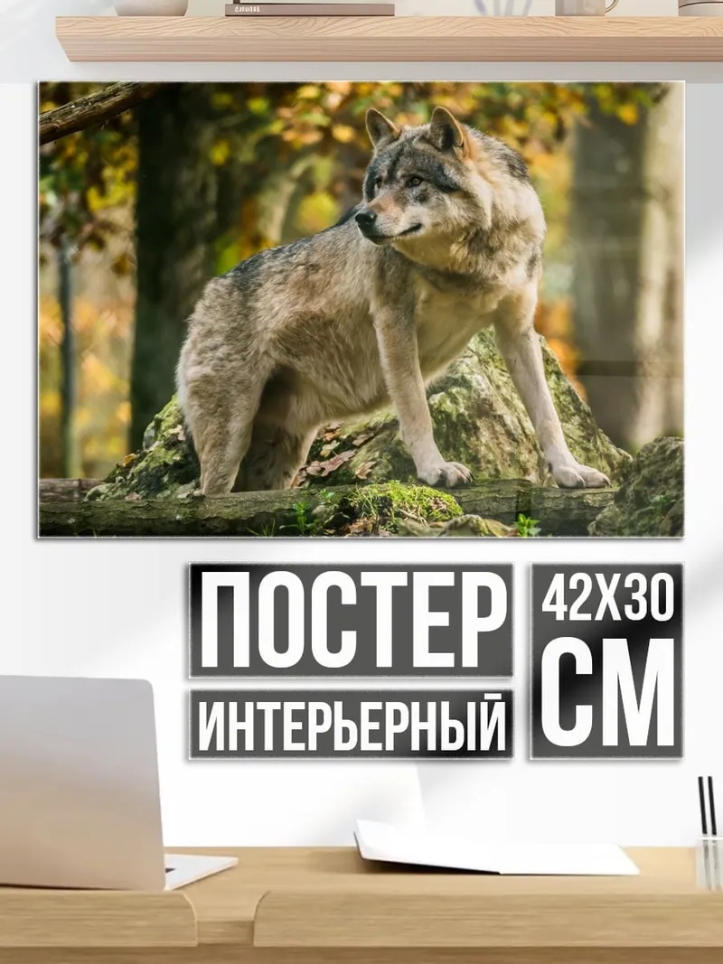 Постер Волк в лесу