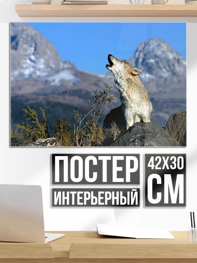 Постер Воющий волк