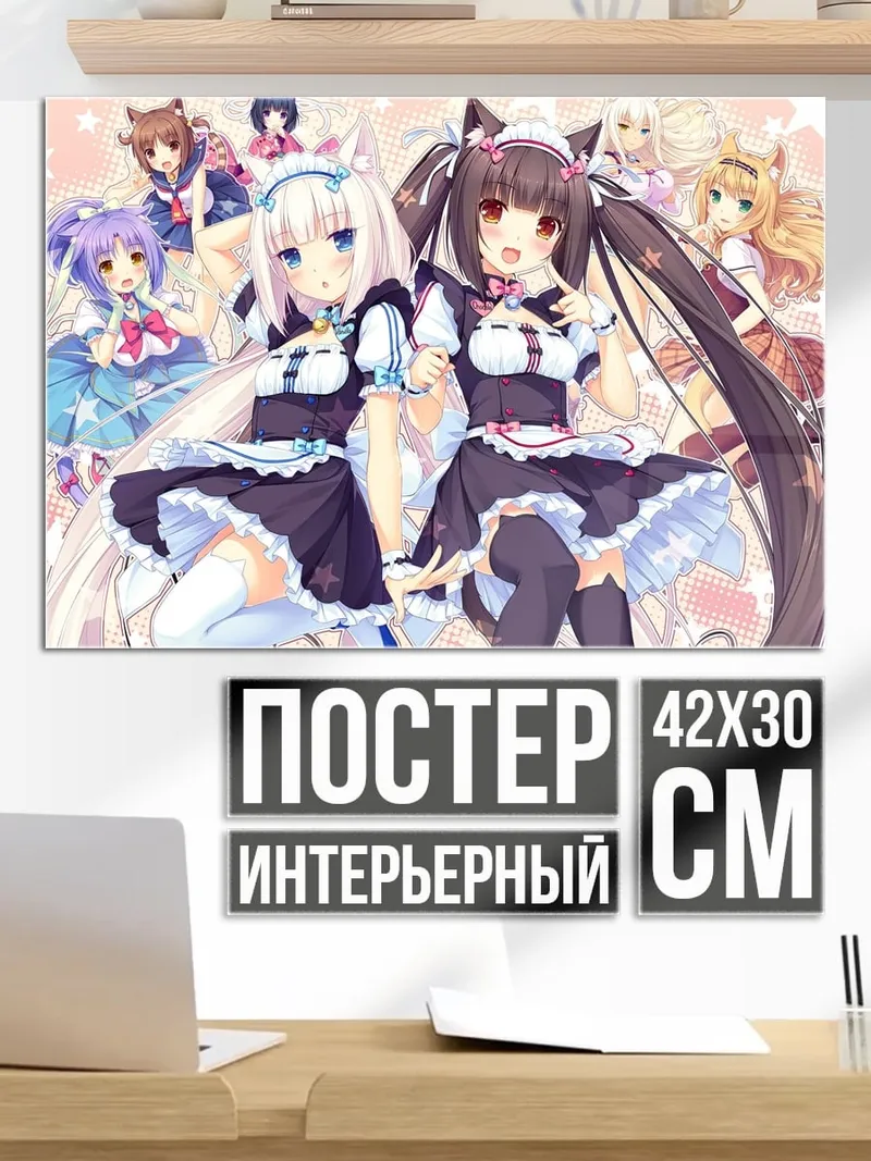 Постер Няни из Некопара