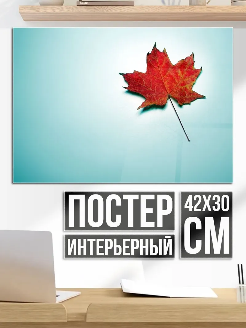Постер Кленовый лист осенью