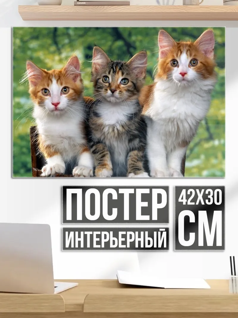 Постер три котенка