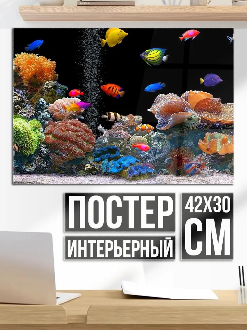Постер Коралловый риф с рыбками